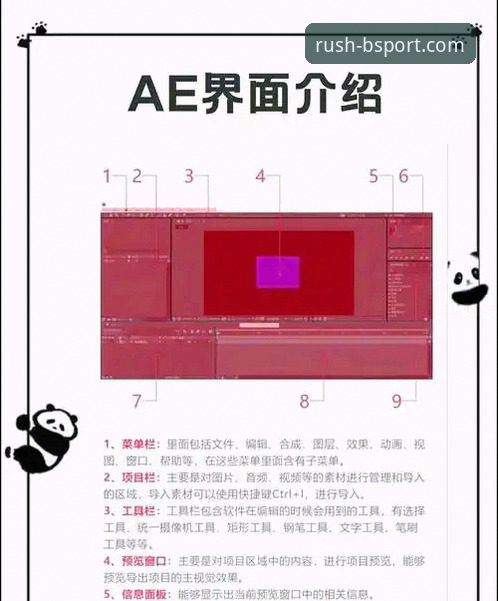 B体育登录 B体育登录实用技巧:从新手到老用户的完整指南